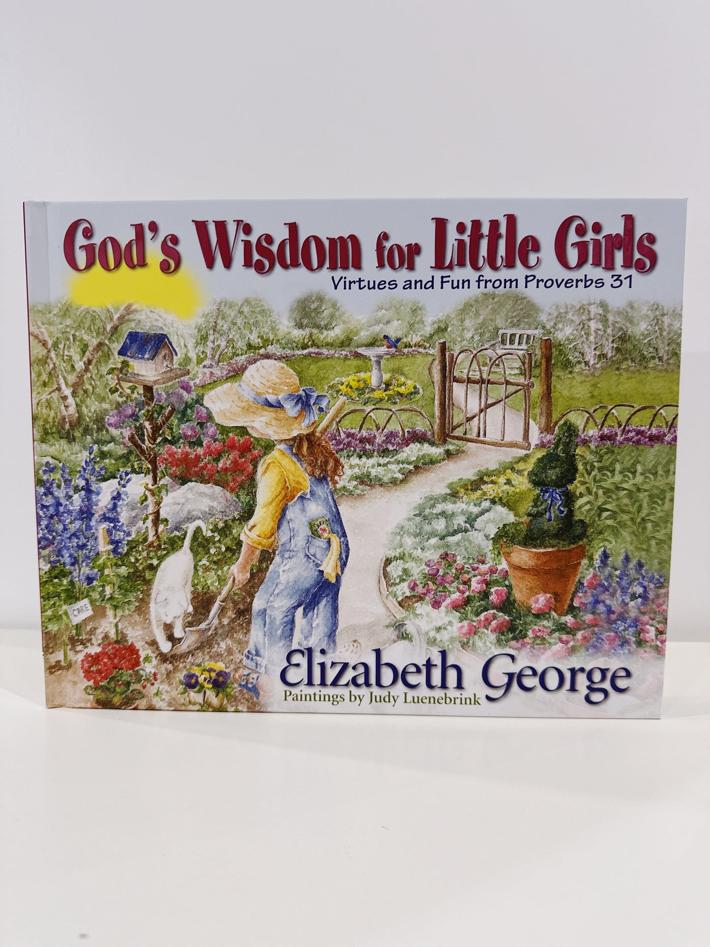 Gods Wisdom For Little Girls Book