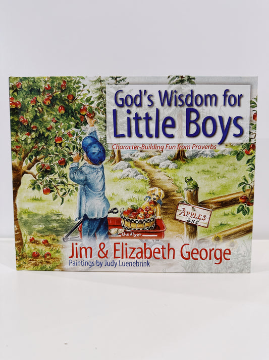 Gods Wisdom For Little Boys Book