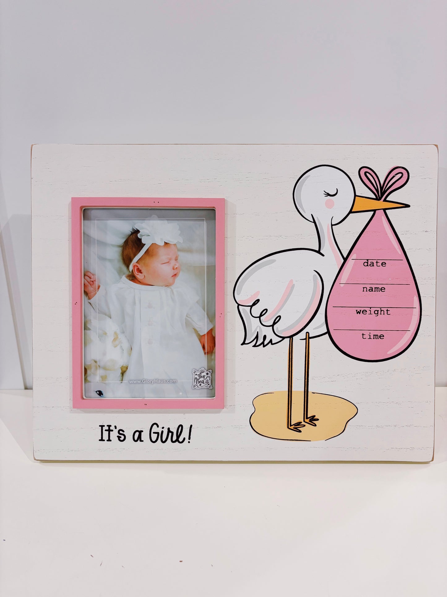 Its a Girl Stork Frame