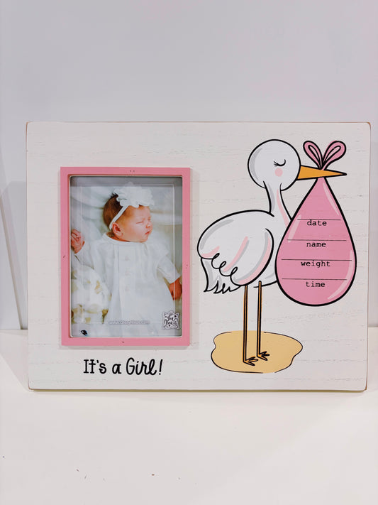 Its a Girl Stork Frame