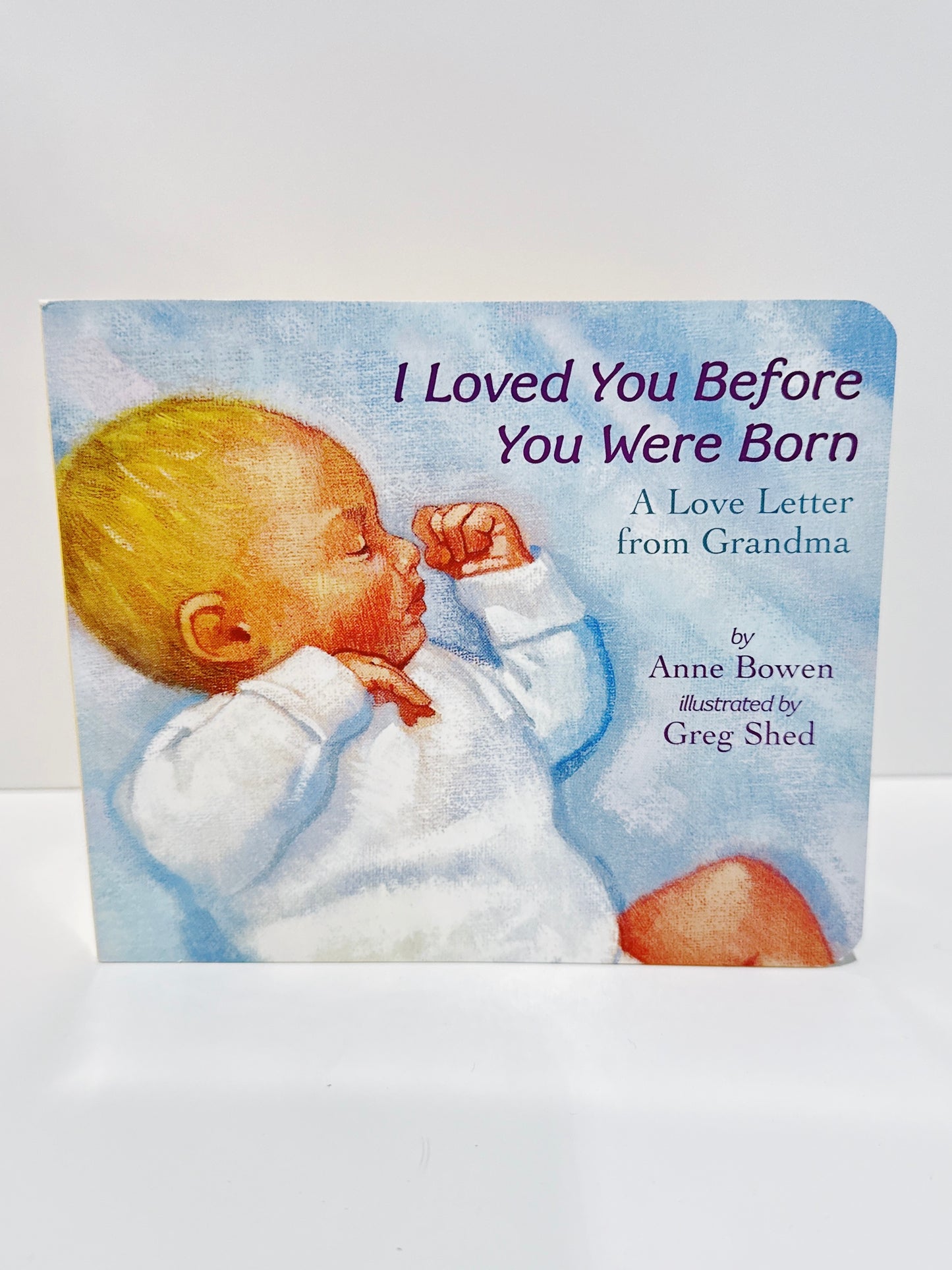 I Loved You Before You Were Born Book