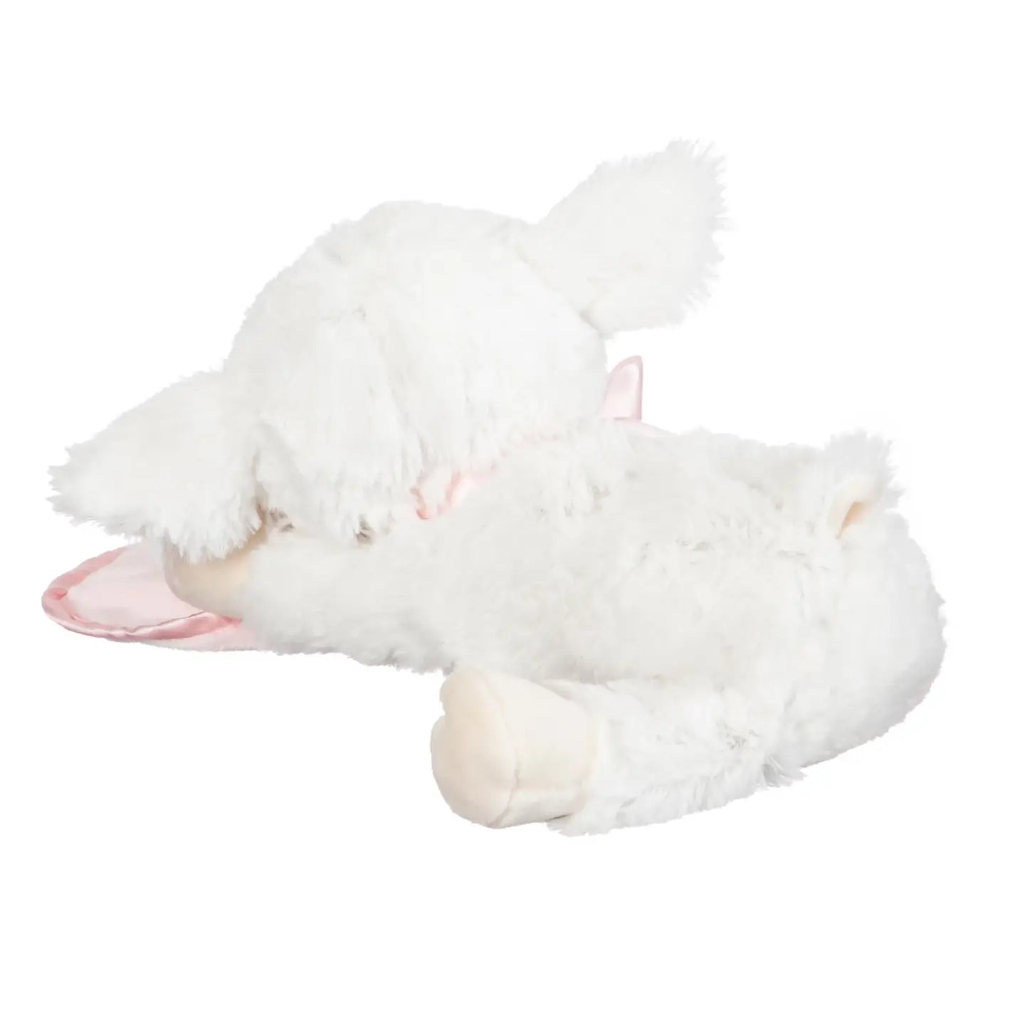 Pray with Me Little Lamb